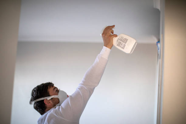 Best Crawl Space Mold Remediation in Eagle Mountain, UT