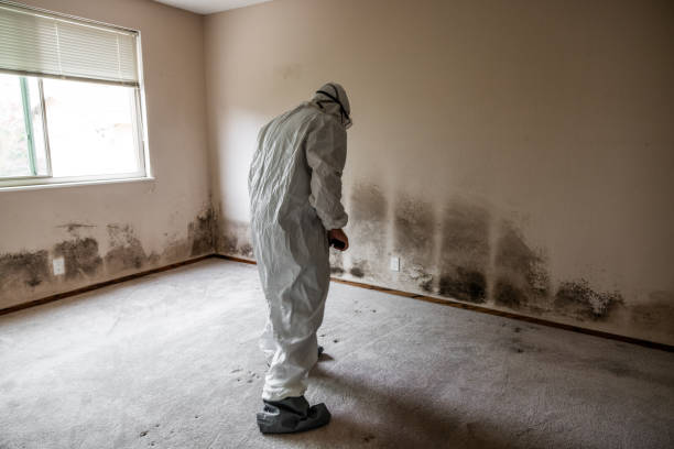 Best Industrial Mold Remediation in Eagle Mountain, UT