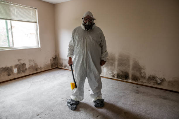 Best Commercial Mold Remediation in Eagle Mountain, UT